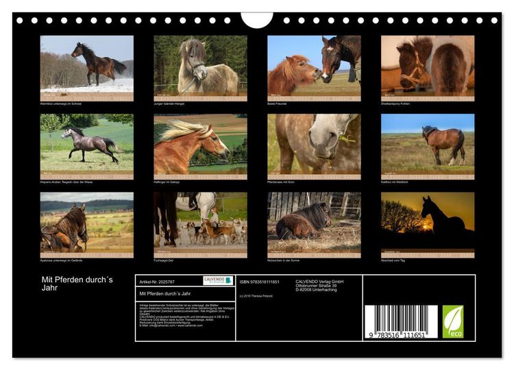 Produktbild: Mit Pferden durch&acute;s Jahr (Wandkalender 2026 DIN A4 quer), CALVENDO Monatskalender