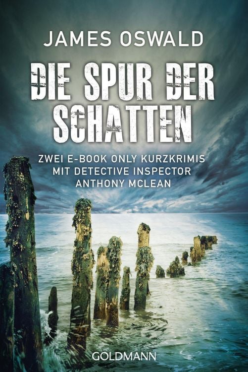 Produktbild: Die Spur der Schatten