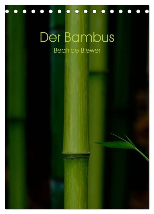 Produktbild: Der Bambus (Tischkalender 2026 DIN A5 hoch), CALVENDO Monatskalender