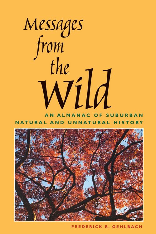 Produktbild: Messages from the Wild