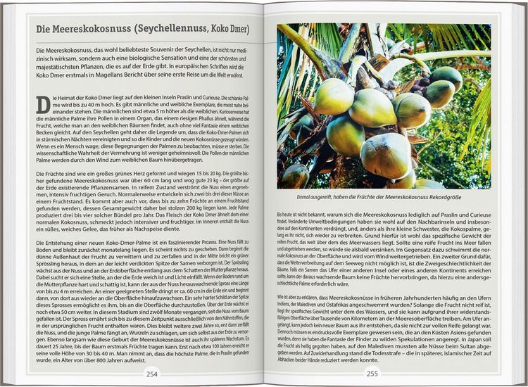 Produktbild: Reisef&uuml;hrer Mauritius Reunion Seychellen