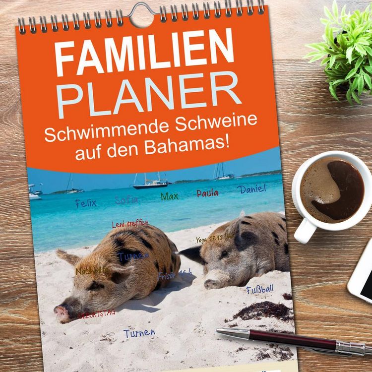 Produktbild: Familienplaner 2026 - Schwimmende Schweine auf den Bahamas! mit 5 Spalten (Wandkalender, 21 x 45 cm) CALVENDO