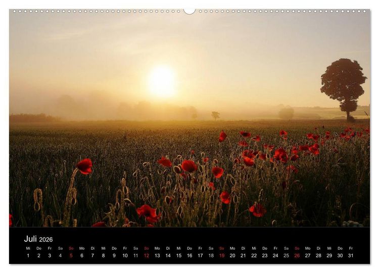 Produktbild: Wilde Bl&uuml;ten-Tr&auml;ume (Wandkalender 2026 DIN A2 quer), CALVENDO Monatskalender