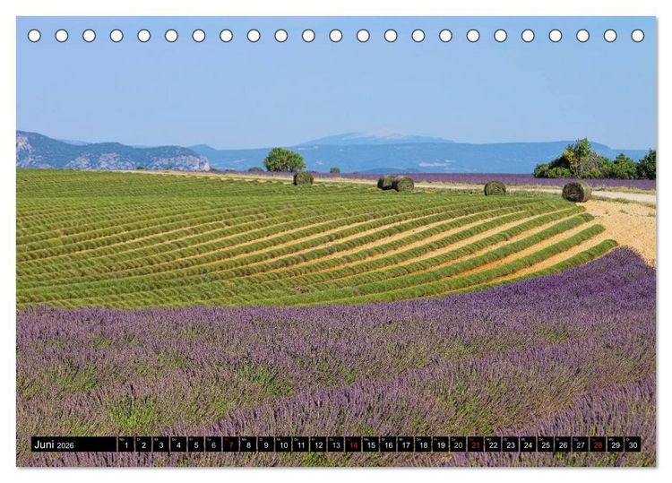 Produktbild: Lavendel (Tischkalender 2026 DIN A5 quer), CALVENDO Monatskalender