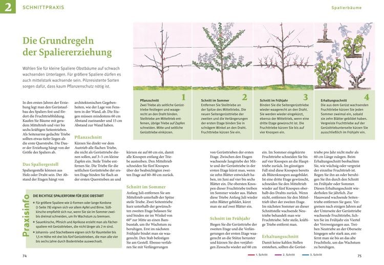 Produktbild: Obstgeh&ouml;lze schneiden