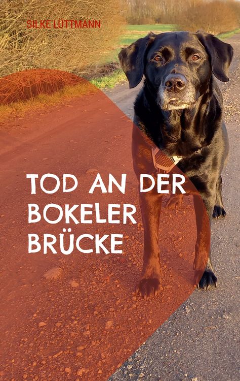 Produktbild: Tod an der Bokeler Br&uuml;cke