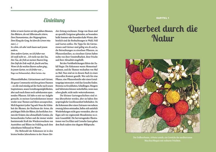 Produktbild: Von fiesen Schädlingen, duftenden Kräutern und üppigen Blumen