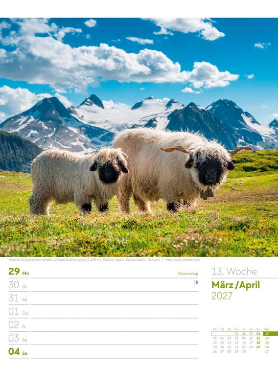 Produktbild: Faszination Alpenwelt Wochenplaner Kalender 2027