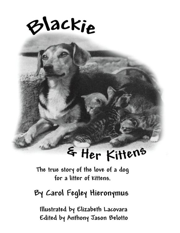 Produktbild: Blackie and Her Kittens