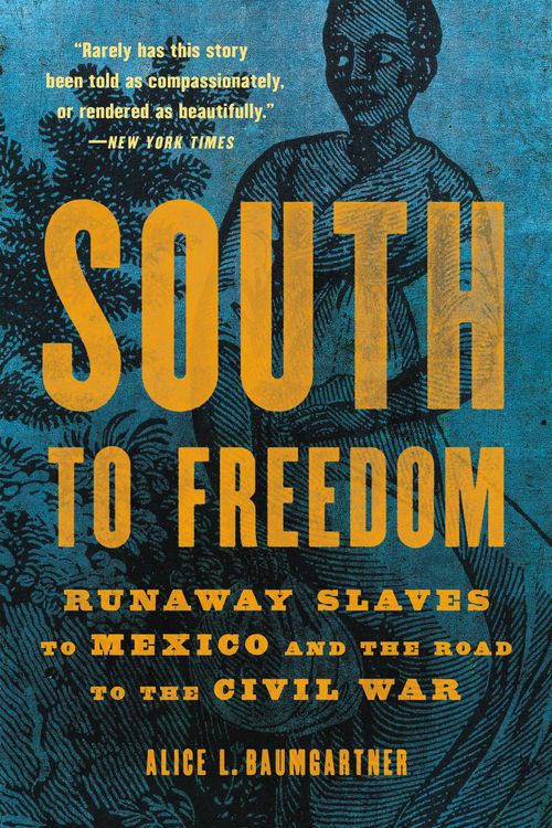 Produktbild: South to Freedom