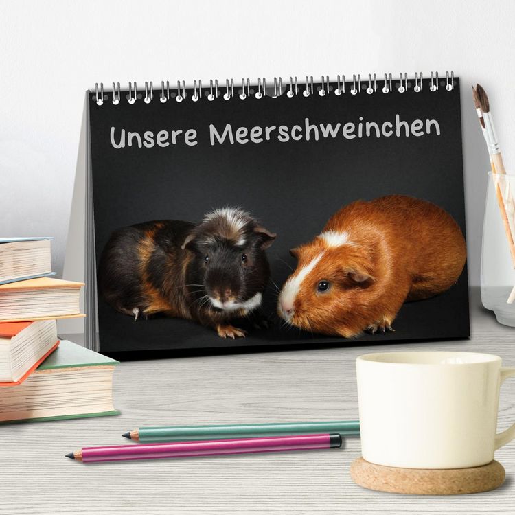 Produktbild: Unsere Meerschweinchen (Tischkalender 2026 DIN A5 quer), CALVENDO Monatskalender