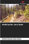 Produktbild: Waiting for zero hour