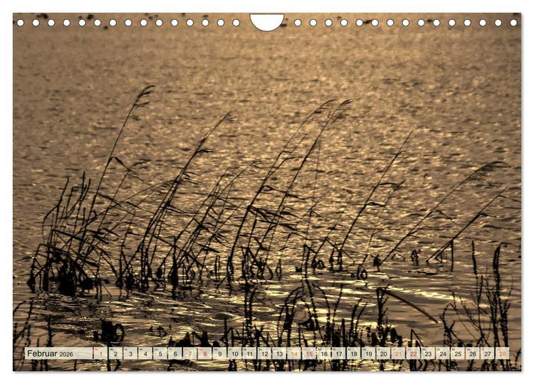 Produktbild: Landschaft an der W&uuml;mme (Wandkalender 2026 DIN A4 quer), CALVENDO Monatskalender