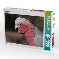 Produktbild: CALVENDO Puzzle Rosakakadu 1000 Teile Lege-Gr&ouml;&szlig;e 64 x 48 cm Foto-Puzzle Bild von Martina Berg