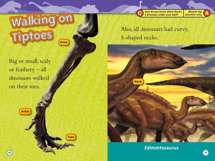 Produktbild: Dinosaurs