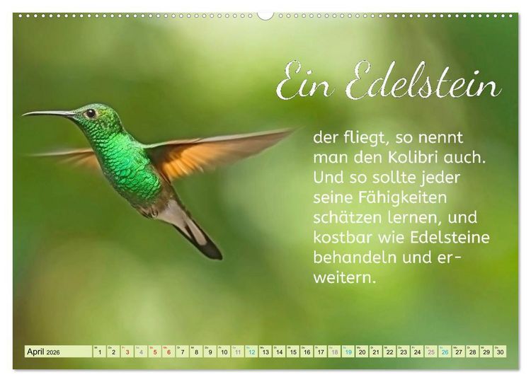 Produktbild: Der Spruchkalender - Inspirationen (hochwertiger Premium Wandkalender 2026 DIN A2 quer), Kunstdruck in Hochglanz
