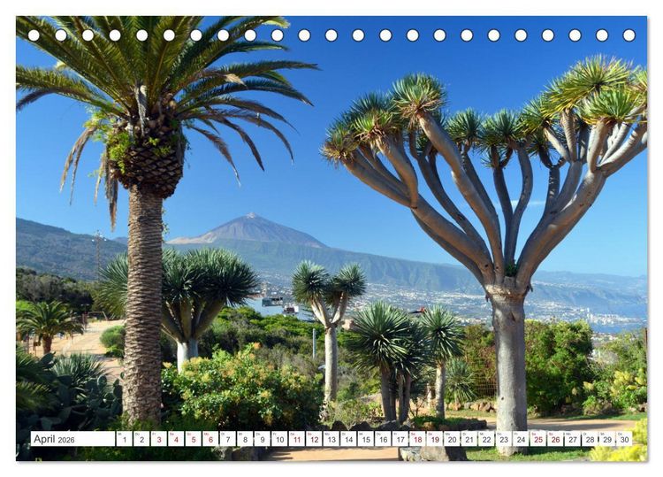 Produktbild: Teneriffa Insel der Gl&uuml;ckseligen (Tischkalender 2026 DIN A5 quer), CALVENDO Monatskalender