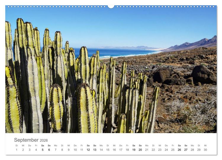 Produktbild: Fuerteventura - die W&uuml;steninsel der Kanaren (hochwertiger Premium Wandkalender 2026 DIN A2 quer), Kunstdruck in Hochglanz