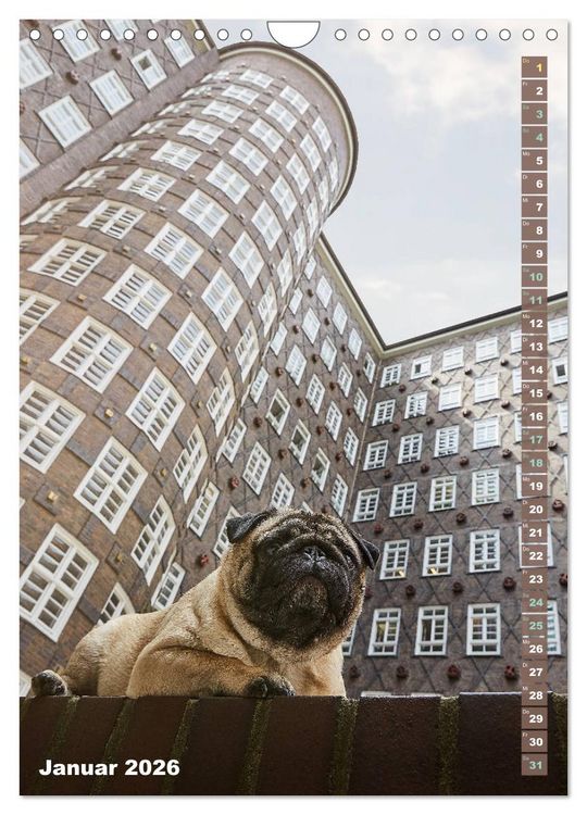 Produktbild: M&ouml;pse in Hamburg (Wandkalender 2026 DIN A4 hoch), CALVENDO Monatskalender