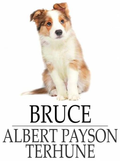 Produktbild: Bruce