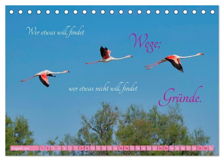 Produktbild: The Power Of Pink (Tischkalender 2026 DIN A5 quer), CALVENDO Monatskalender