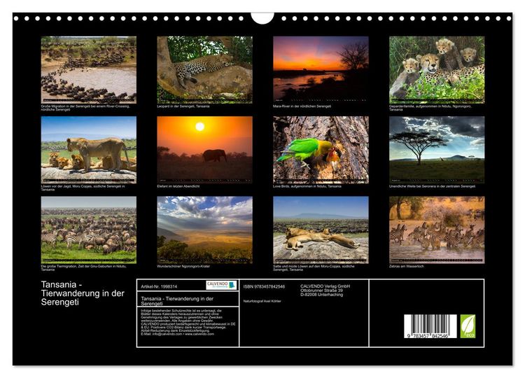 Produktbild: Tansania - Tierwanderung in der Serengeti (Wandkalender 2026 DIN A3 quer), CALVENDO Monatskalender