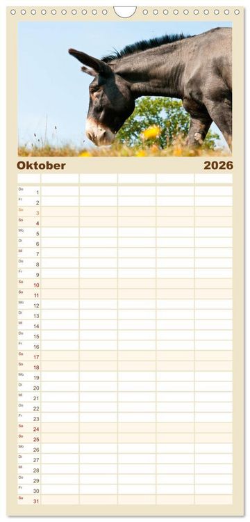 Produktbild: Familienplaner 2026 - Esel - Sixtus Loreley mit 5 Spalten (Wandkalender, 21 x 45 cm) CALVENDO