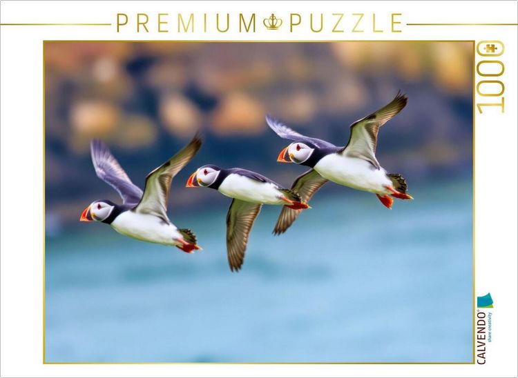 Produktbild: CALVENDO Puzzle Ein Motiv aus dem Kalender Tieftaucher Papageitaucher | 1000 Teile Lege-Gr&ouml;&szlig;e 64x48cm Foto-Puzzle f&uuml;r gl&uuml;ckliche Stunden