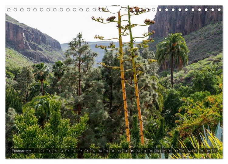 Produktbild: Grandioses Canaria (Wandkalender 2026 DIN A4 quer), CALVENDO Monatskalender