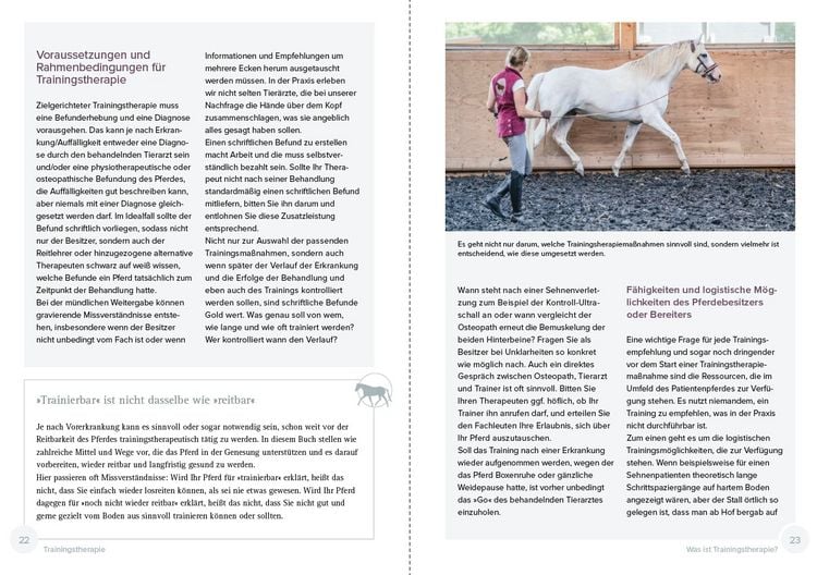 Produktbild: Trainingstherapie
