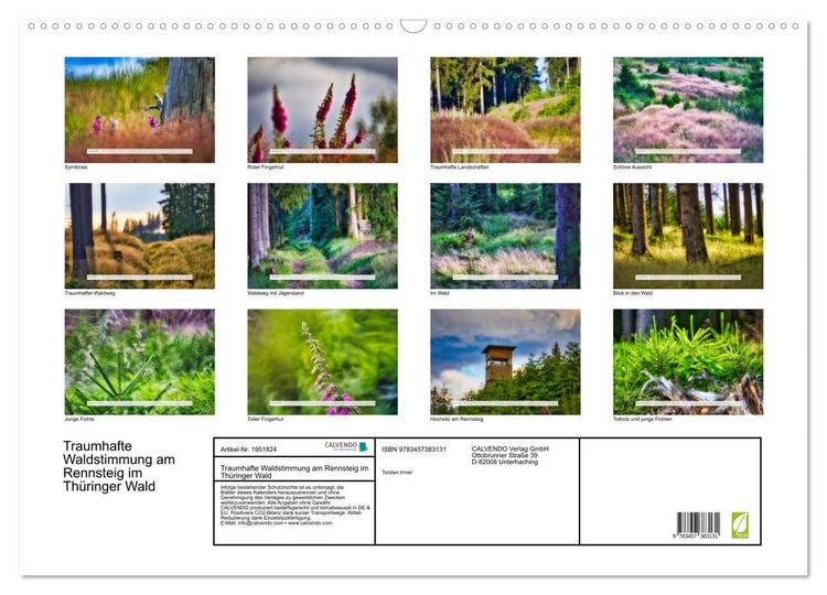 Produktbild: Traumhafte Waldstimmung am Rennsteig im Th&uuml;ringer Wald (Wandkalender 2026 DIN A2 quer), CALVENDO Monatskalender