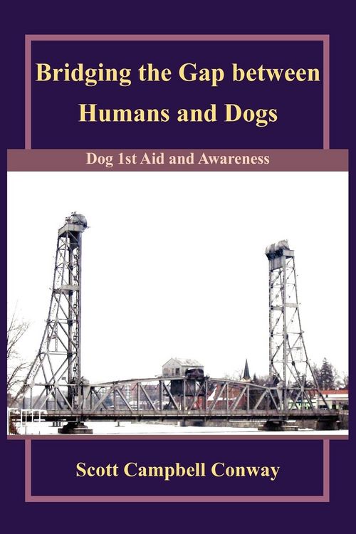 Produktbild: Bridging the Gap between Humans and Dogs