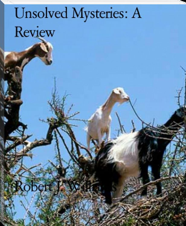 Produktbild: Unsolved Mysteries: A Review