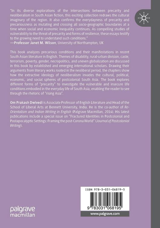 Produktbild: Representations of Precarity in South Asian Literature in English