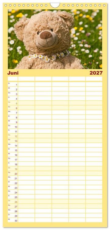 Produktbild: Familienplaner 2027 - Kunterbunte B&auml;renwelt - Teddys mit 5 Spalten (Wandkalender, 21 x 45 cm) CALVENDO