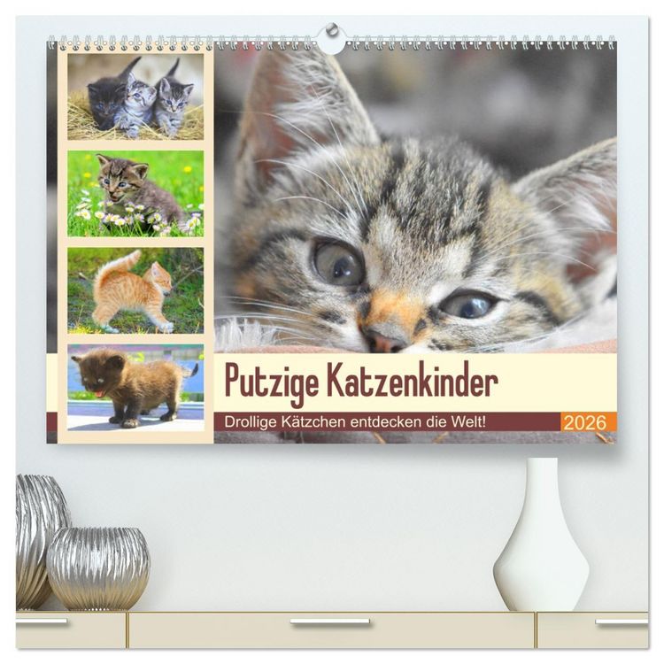 Produktbild: Putzige Katzenkinder. Drollige K&auml;tzchen entdecken die Welt! (hochwertiger Premium Wandkalender 2026 DIN A2 quer), Kunstdruck in Hochglanz