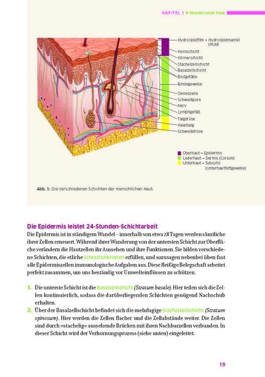 Produktbild: Das gro&szlig;e Buch f&uuml;r die gesunde Haut