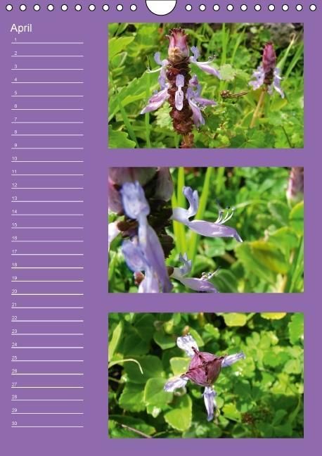 Produktbild: Zauberwelt der Blumen - Eiskristalle & Wasserperlen / Geburtstagskalender (Wandkalender immerw&auml;hrend DIN A4 hoch)
