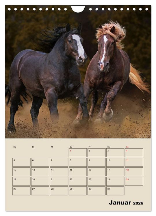 Produktbild: Pferdetr&auml;umereien - Traumbilder von Traumpferden (Wandkalender 2026 DIN A4 hoch), CALVENDO Monatskalender