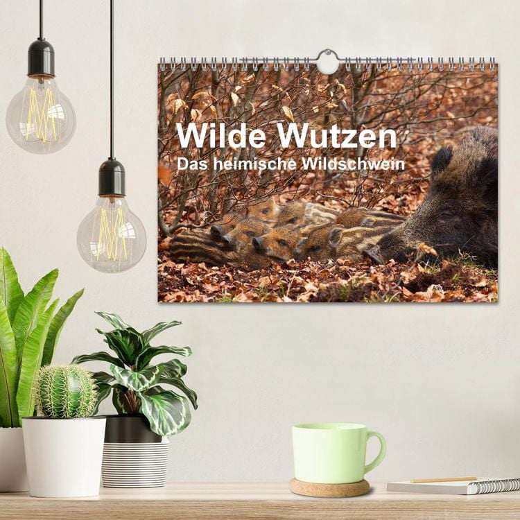 Produktbild: Wilde Wutzen. Das heimische Wildschwein (Wandkalender 2026 DIN A4 quer), CALVENDO Monatskalender