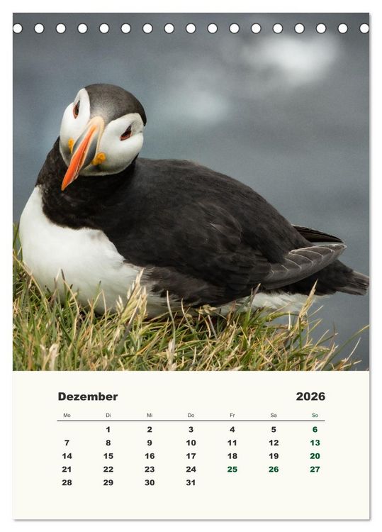 Produktbild: Papageientaucher in Island (Tischkalender 2026 DIN A5 hoch), CALVENDO Monatskalender