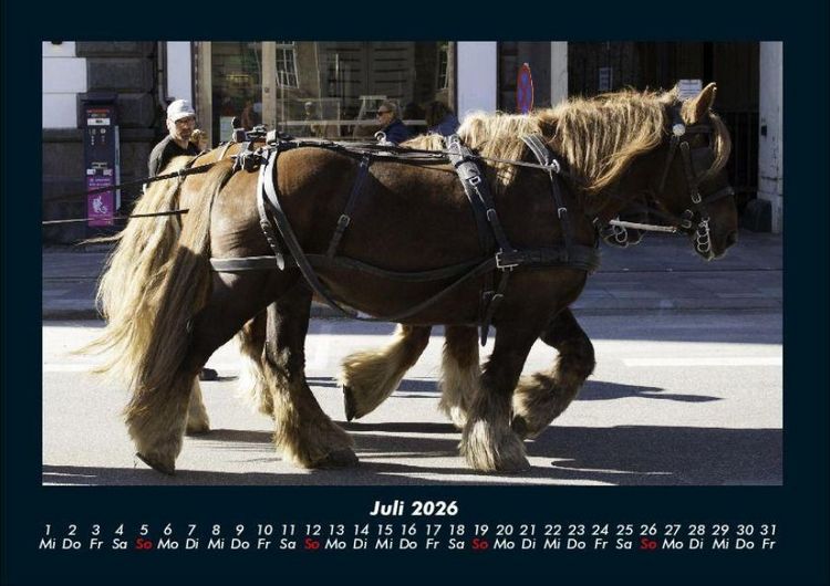 Produktbild: Die Welt der Pferde 2026 Fotokalender DIN A4