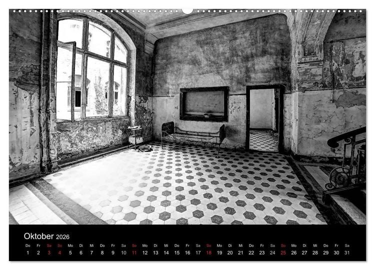 Produktbild: lost beauty (hochwertiger Premium Wandkalender 2026 DIN A2 quer), Kunstdruck in Hochglanz