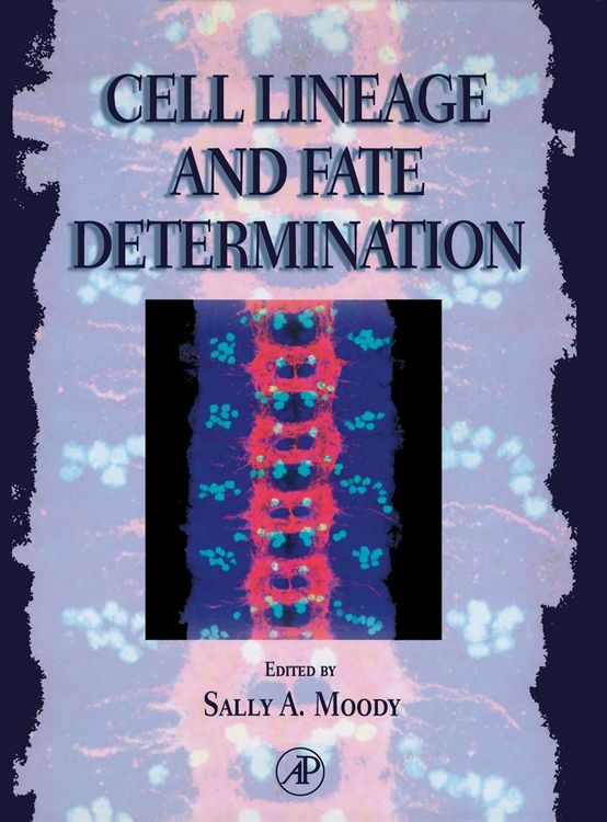 Produktbild: Cell Lineage and Fate Determination