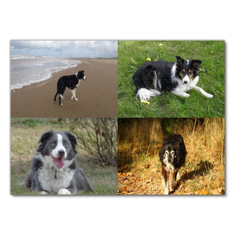 Produktbild: Lais Puzzle Collage Border Collie 500 Teile