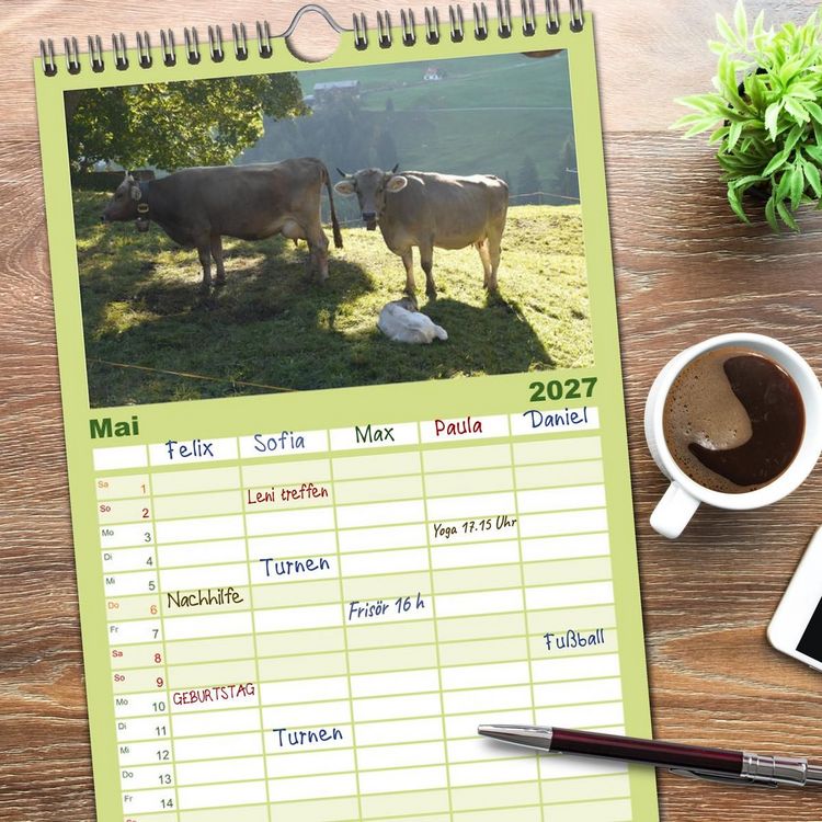 Produktbild: Familienplaner 2027 - K&uuml;he mit H&ouml;rnern mit 5 Spalten (Wandkalender, 21 x 45 cm) CALVENDO