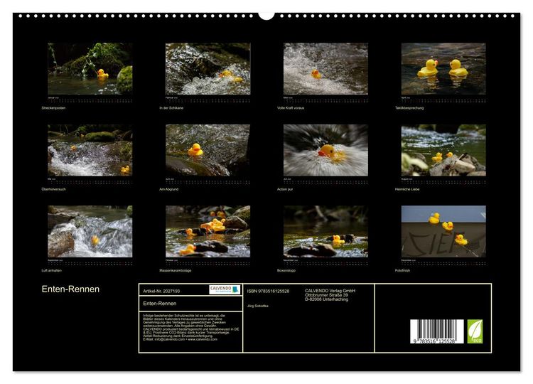 Produktbild: Enten-Rennen (hochwertiger Premium Wandkalender 2026 DIN A2 quer), Kunstdruck in Hochglanz