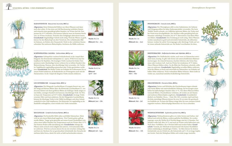 Produktbild: Das gro&szlig;e GU Praxishandbuch Pflanzenschnitt