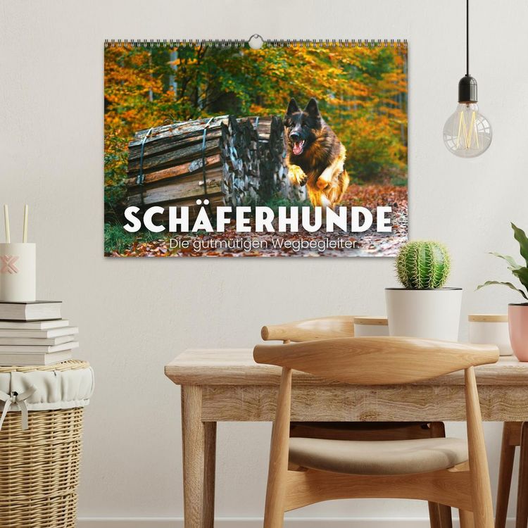 Produktbild: Sch&auml;ferhunde - Die gutm&uuml;tigen Wegbegleiter. (Wandkalender 2026 DIN A3 quer), CALVENDO Monatskalender