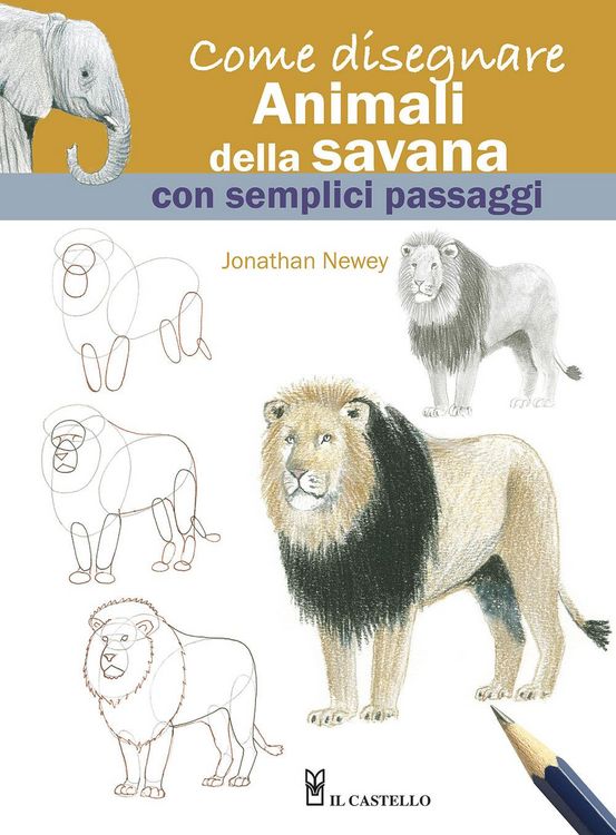 Produktbild: Come disegnare animali della savana con semplici passaggi